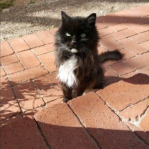 Meet your Posher, Alexis